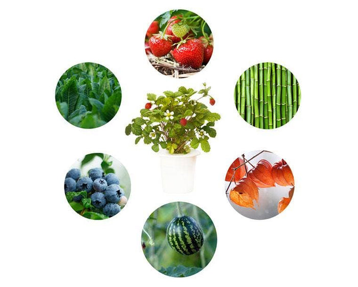 Grow Anything Plant Pods