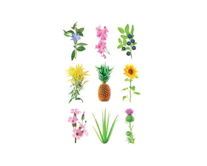 Grow Anything Plant Pods