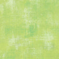 Grunge Basics - Key Lime
