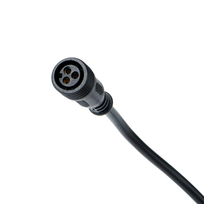 Wiring Harness Plug