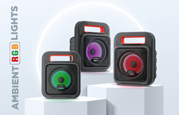 IT 202 12W Bluetooth Speaker