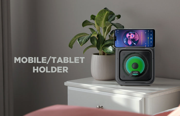 IT 202 12W Bluetooth Speaker