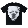 Koszulka Stussy Big Dog Washed Tee Black STUSSY Koszulki