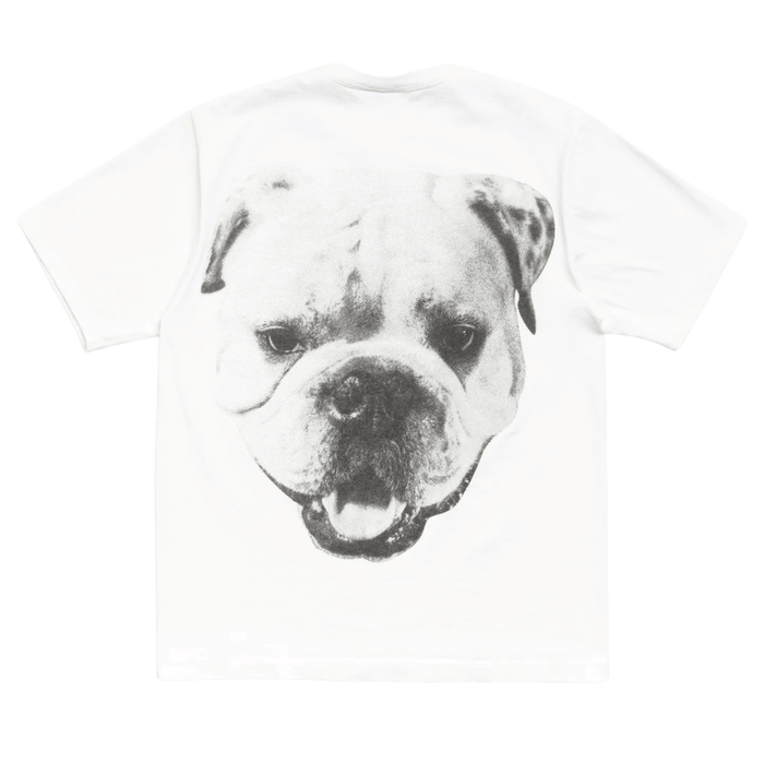 Koszulka Stussy Big Dog Washed Tee White STUSSY Koszulki