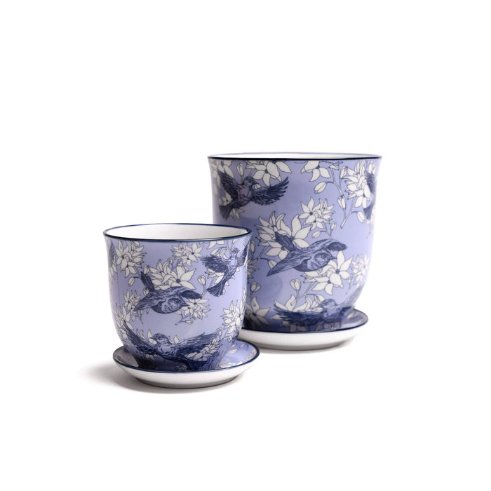 Liberte  Indoor plant pots with drainage 3 & 5 inch planter