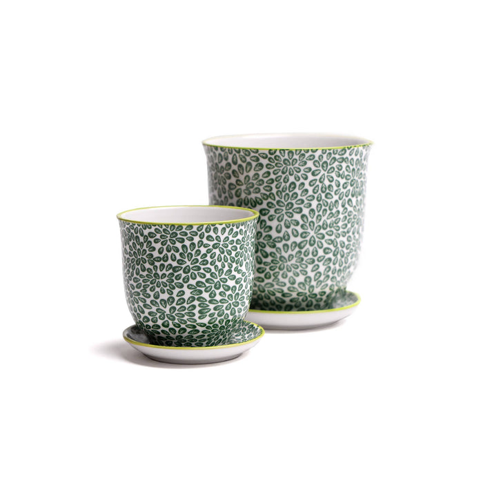 Liberte  Indoor plant pots with drainage 3 & 5 inch planter