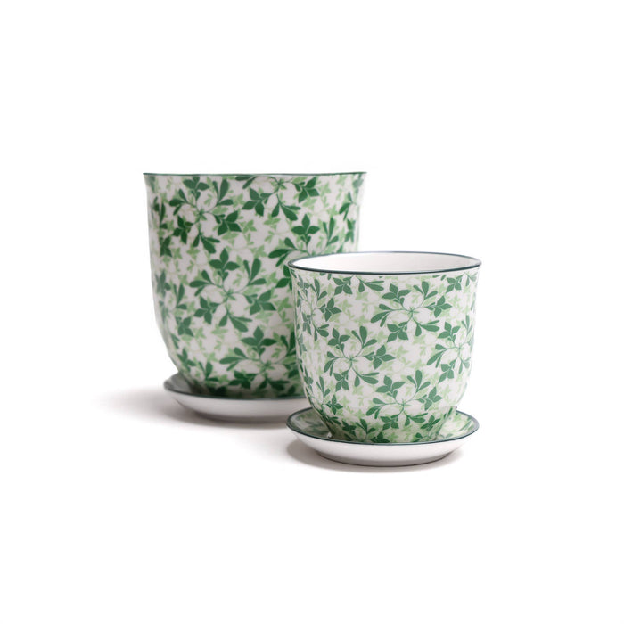 Liberte  Indoor plant pots with drainage 3 & 5 inch planter