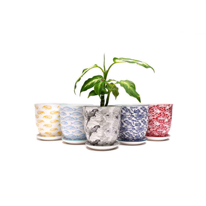 Liberte  Indoor plant pots with drainage 3 & 5 inch planter