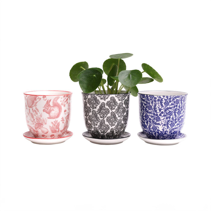 Liberte  Indoor plant pots with drainage 3 & 5 inch planter