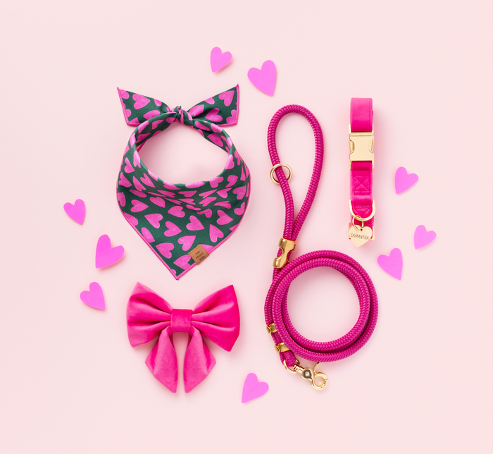 Lovestruck Valentine's Day Dog Bandana