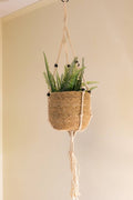 Macrame Cotton Plant Hanger W/Beads (40")