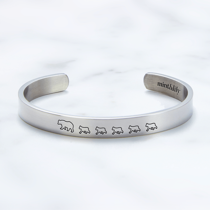 Silver / Mama + 5 Cubs