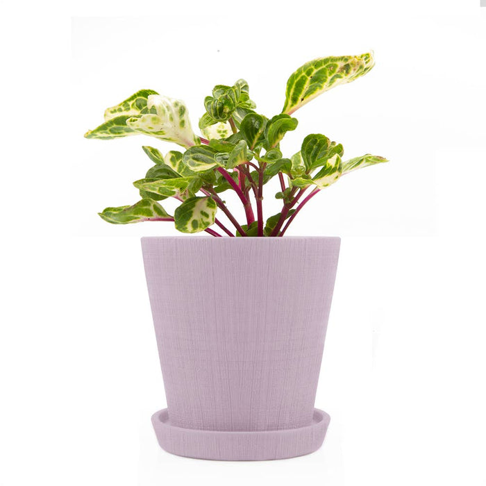 Mick Planter Pots With Drainage Holes Bulk SALE SALE