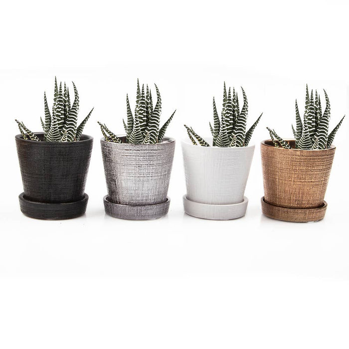 Mick Planter Pots With Drainage Holes Bulk SALE SALE
