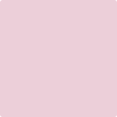 Shop the paint color 1360 Misty Rose by Benjamin Moore at Anderson Paint Company in Ann Arbor, Michigan.