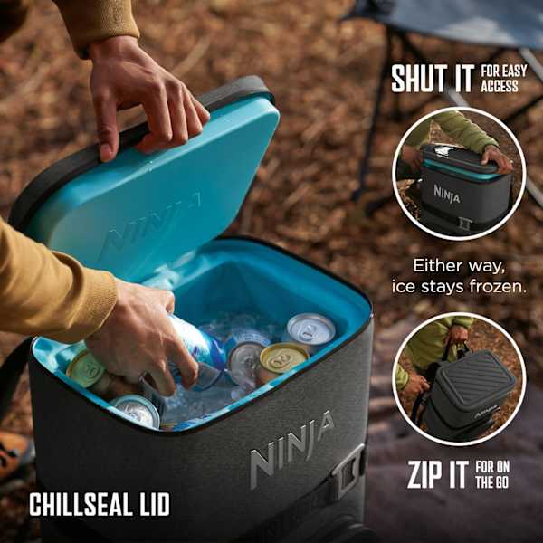 Ninja FrostVault Go 17L Backpack Soft Cooler - Charcoal Grey | FF124EUUKCG from Ninja - DID Electrical
