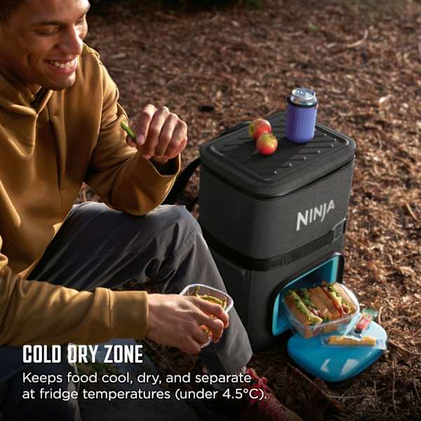 Ninja Ninja FrostVault Go 23L Backpack Soft Cooler - Charcoal Grey | FF136EUUKCG from Ninja - DID Electrical