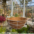 Nordic Hanging Basket