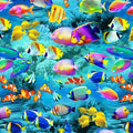 Ocean Life