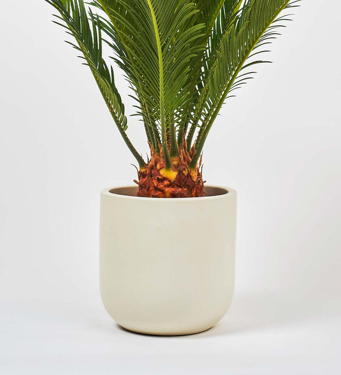 Oyster Earthenware Pot (14cm)