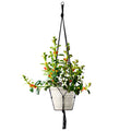 Plant Hanger Rope Black