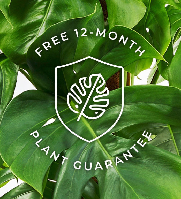 Propagation Bundle