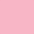 Shop the paint color 1325 Pure Pink by Benjamin Moore at Anderson Paint Company in Ann Arbor, Michigan.