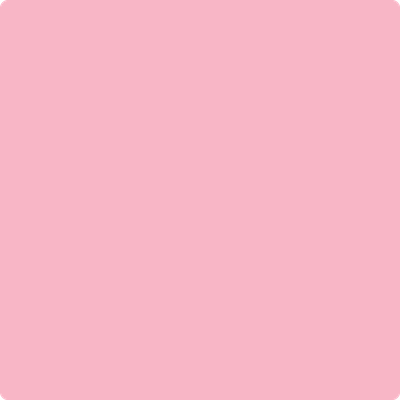 Shop the paint color 1325 Pure Pink by Benjamin Moore at Anderson Paint Company in Ann Arbor, Michigan.