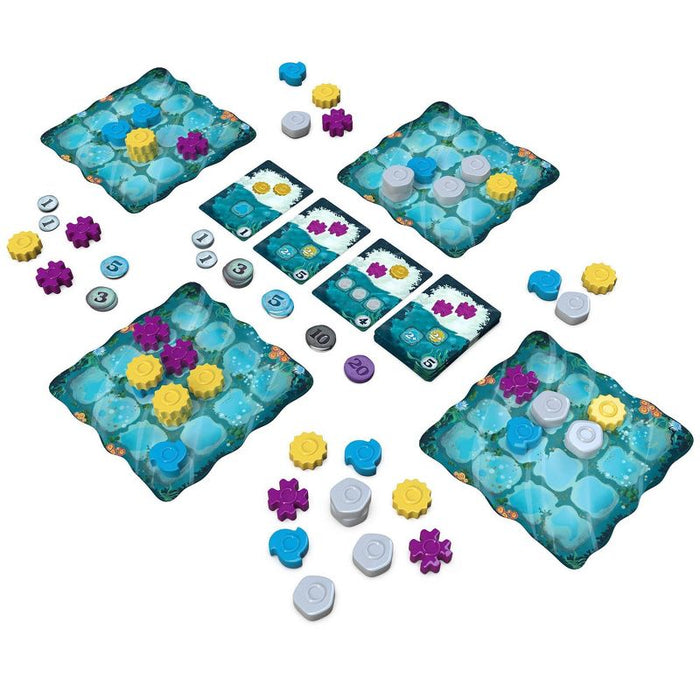 Reef 2nd Edition