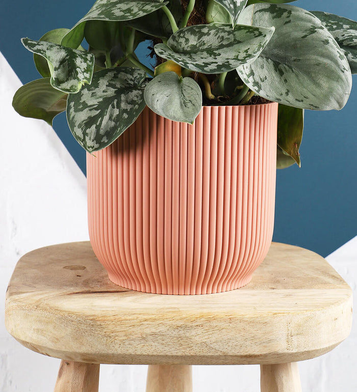 Rose Elho Vibes Pot (22cm)