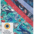 Sassy Half Pack Fabric Kit - Nauticus