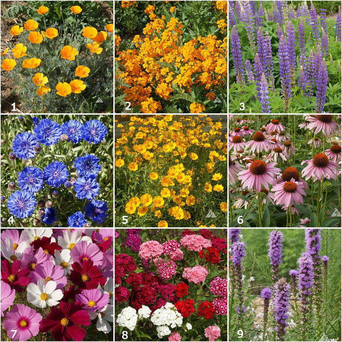 Scatter Garden | Butterfly Habitat