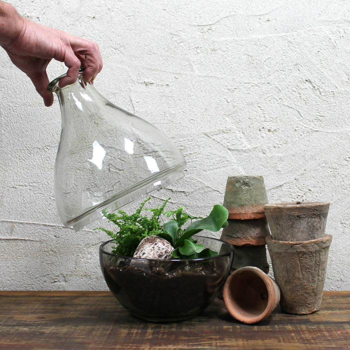 Terrarium, Glass