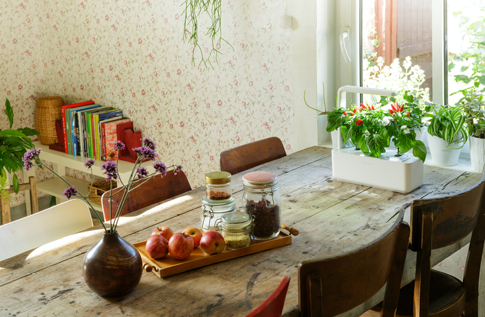 The Smart Garden 3