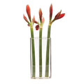 Wall Brick Clear Glass Hanging