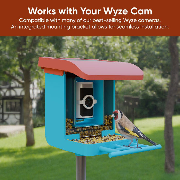 Wyze Bird Feeder Camera Bundle with Live View - White