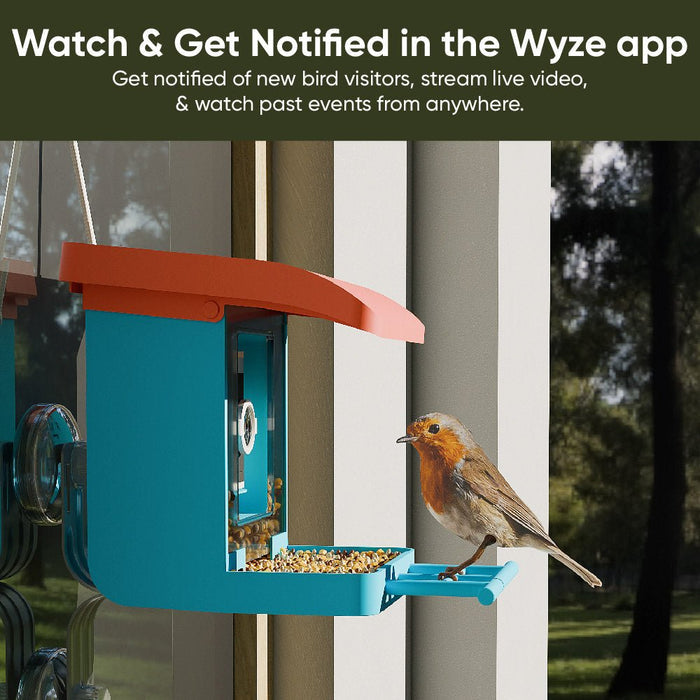 Wyze Bird Feeder Bundle with Live View Camera - White: A smart bird feeder camera that allows you to watch and get.