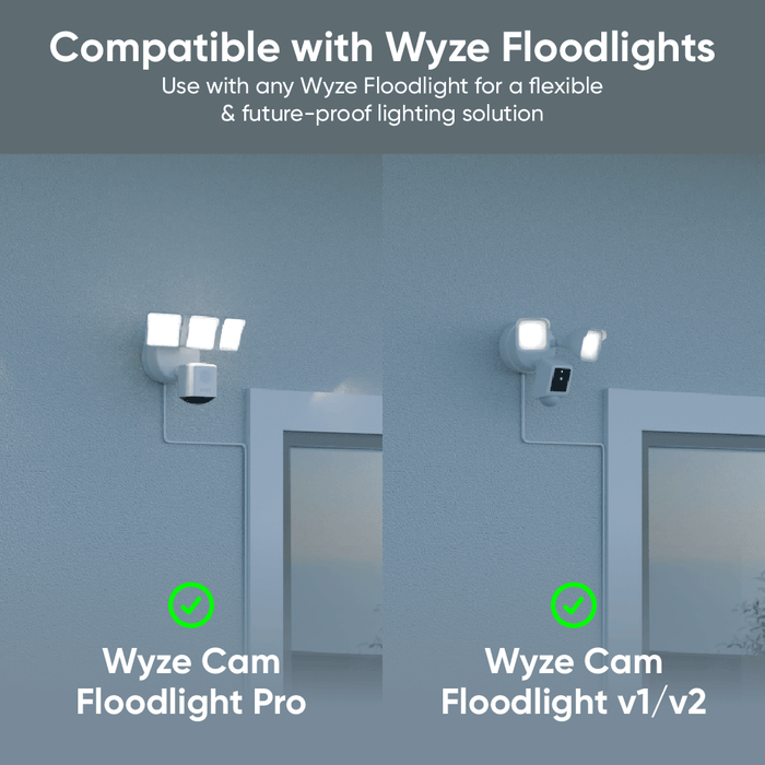 Wyze Cam Floodlight Pro + Plug-In Mount: A smart camera with a floodlight feature and a plug-in mount for easy installation.