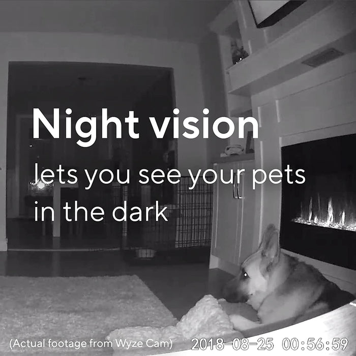 Wyze Cam v2 - Night vision lets you see your pets in the dark.